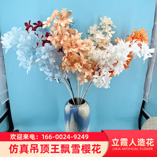 ����Ƶ��Y�õ�����u�����O�����廨�ٻ������l�������滨����