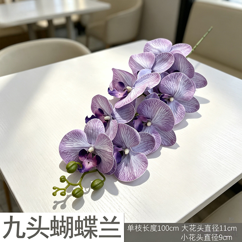 3D Phalaenopsis mới/màu tím sương mù