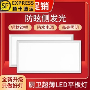 Lei Shiji Integrated Ceiling Led Light Kitchen Bathroom 300X600 Flat Light Embedded Aluminum Gusset Rectangular
