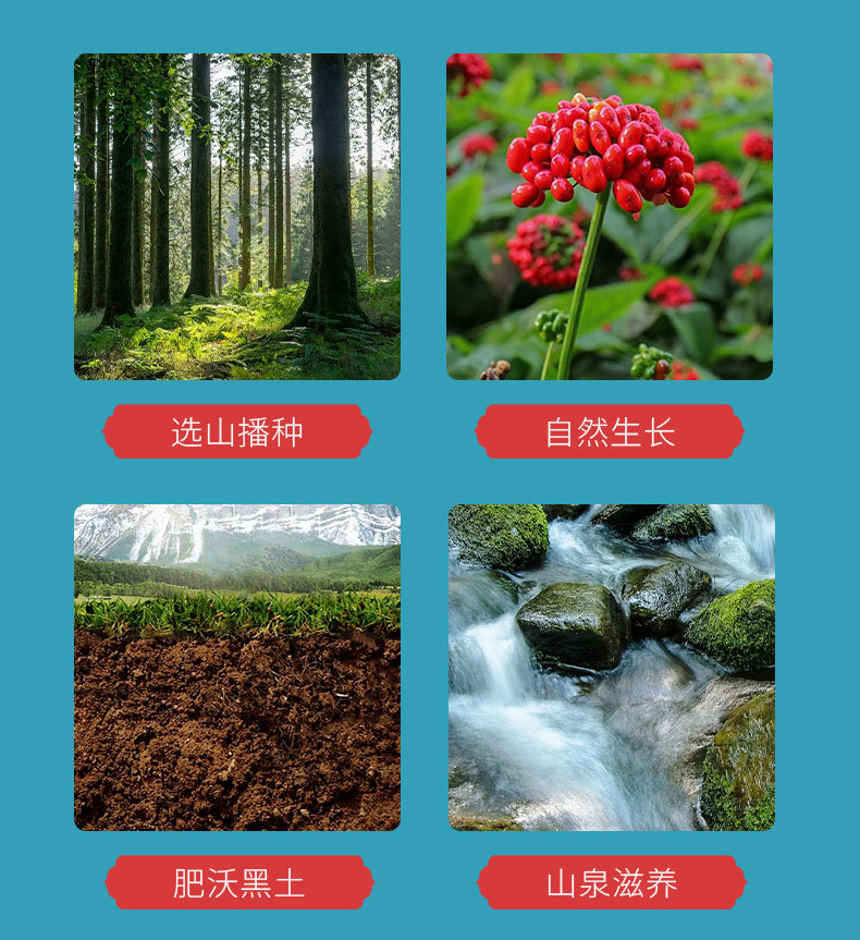 Changbai Mountain Understory Ginseng Gift Box Sun-Dried Whole Root for Soup and Tea quality and texture