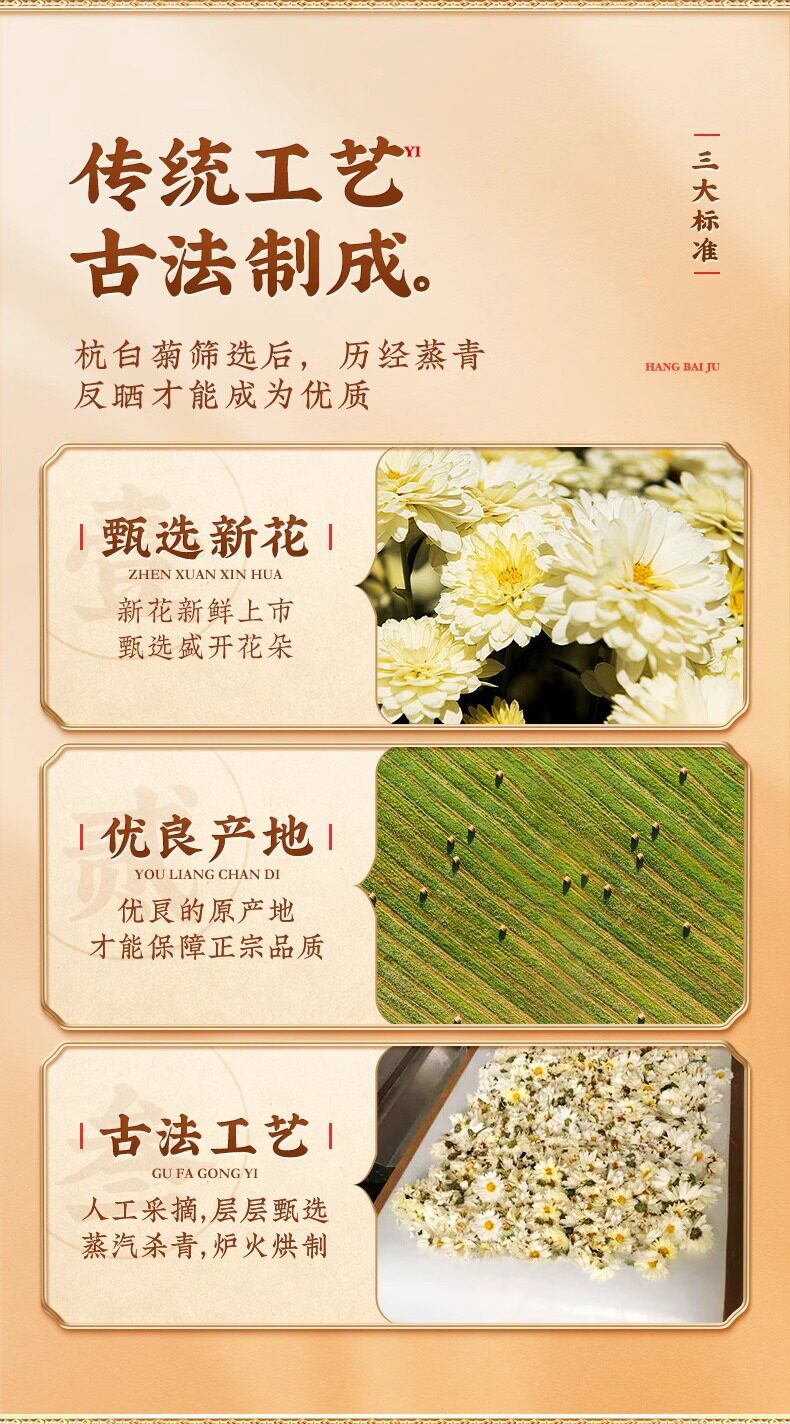 Premium Hangzhou White Chrysanthemum Flower Tea Tai Ju Dried Buds 65g Canned details