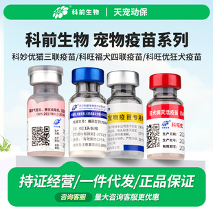 ���؈�����������Ȯ�����������������Ȯ���繷��؈����