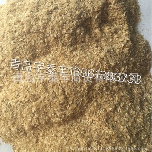 С�׿� �ȿ� ���� ţ������ �~�D��ԭ��