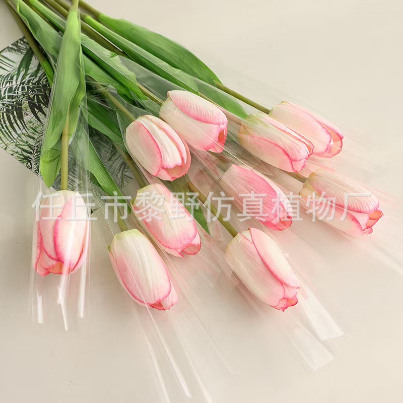 로터스 파우더-8호