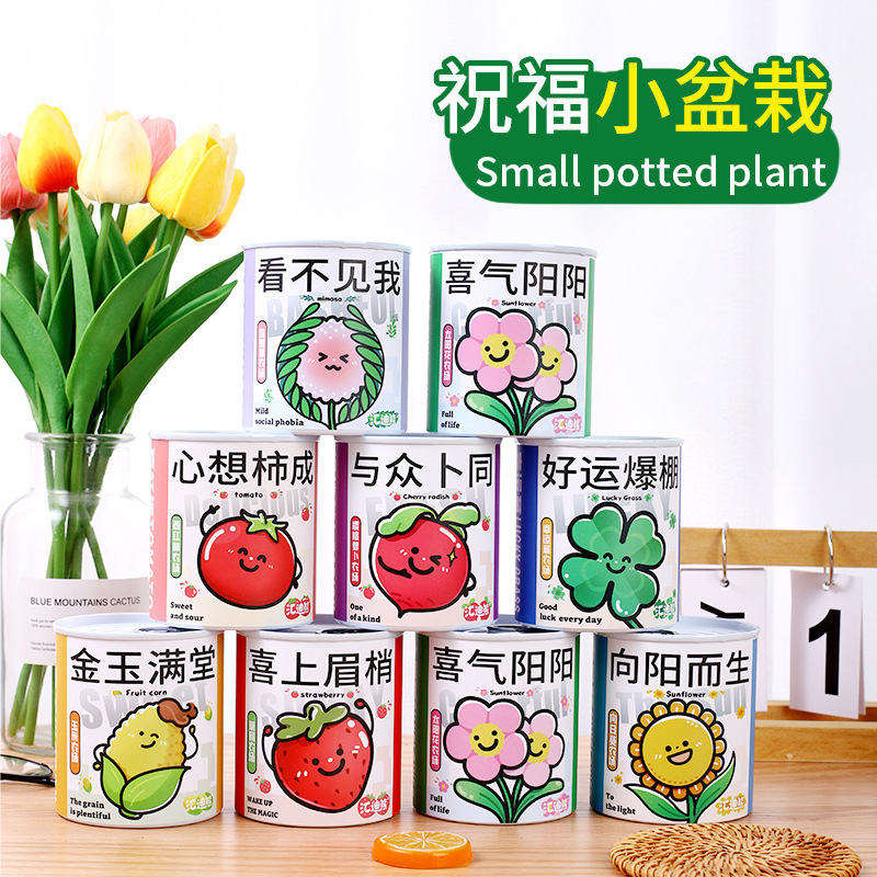 儿童种植小盆栽创意礼物草莓番茄小植物办公桌绿植室内盆栽迷你