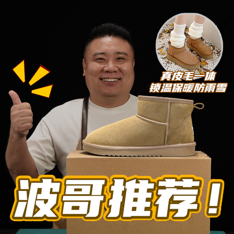 영양 브라운 [내한성 영하 40°】