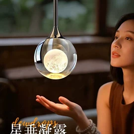 吊灯;室内壁灯;永生花