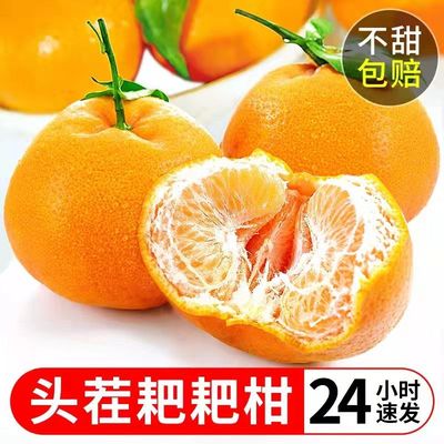 Sichuan Province Orange fresh Orange 10 Emperor Kom Full container Season