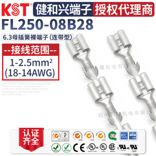 KST�����dFL250-08B28�B���� 6.3ĸ����B�@����K.S�B���� UL�J�C