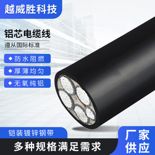Factory supply aluminum core cable waterproof flame retardant wire thickness uniform armored galvanized steel tape wire and cable
