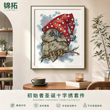 欧美热卖初学者手工十字绣材料包圣诞猫头鹰高清印图DIY刺绣套件