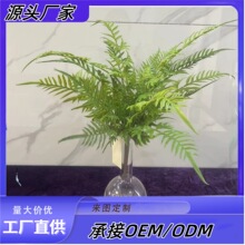 仿真绿植植物鹿角蕨大香蕨叶假草假花盆栽草坪欧式观跨境造景