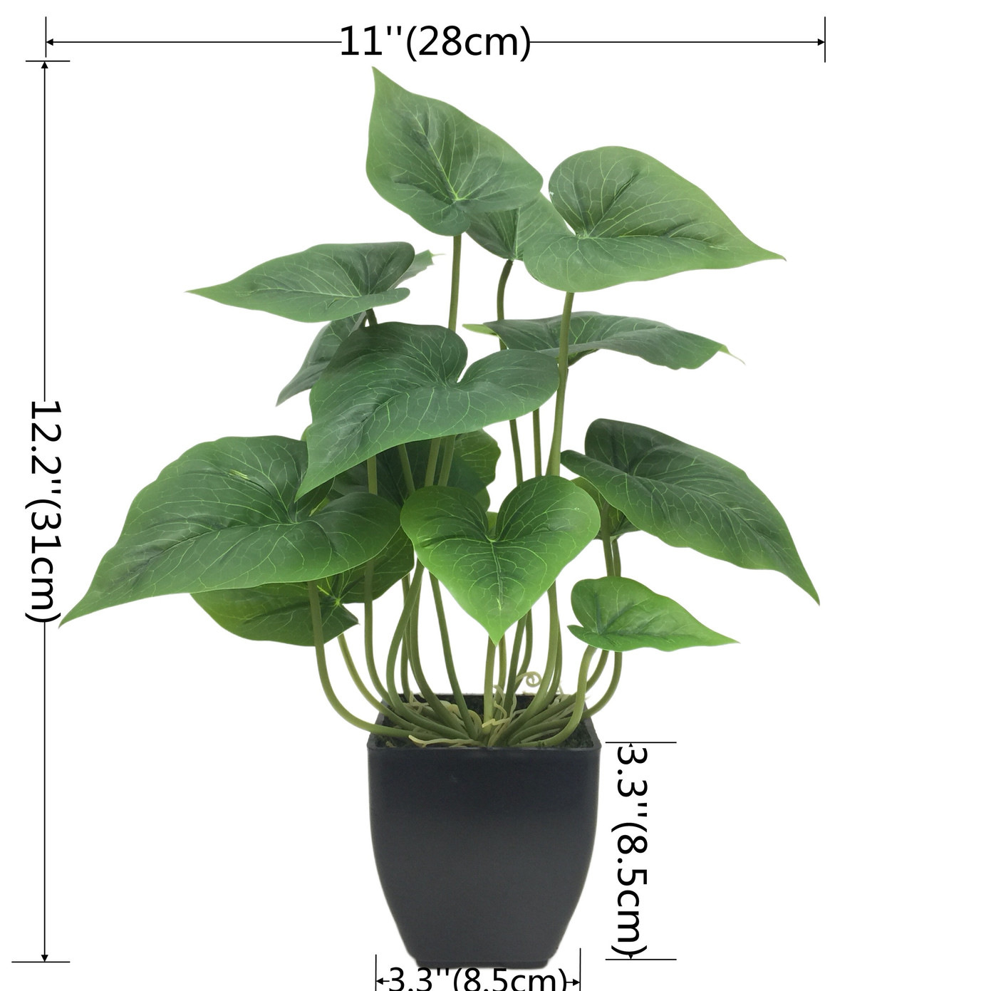 807318(화분에 심지 않음) 안스리움 잎 18개(최소 주문 24개))