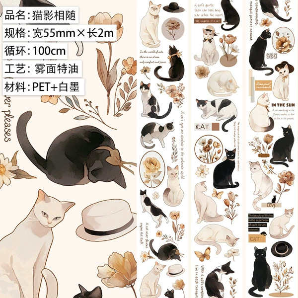 Cat shadow with fog surface PET. Special oil 2m