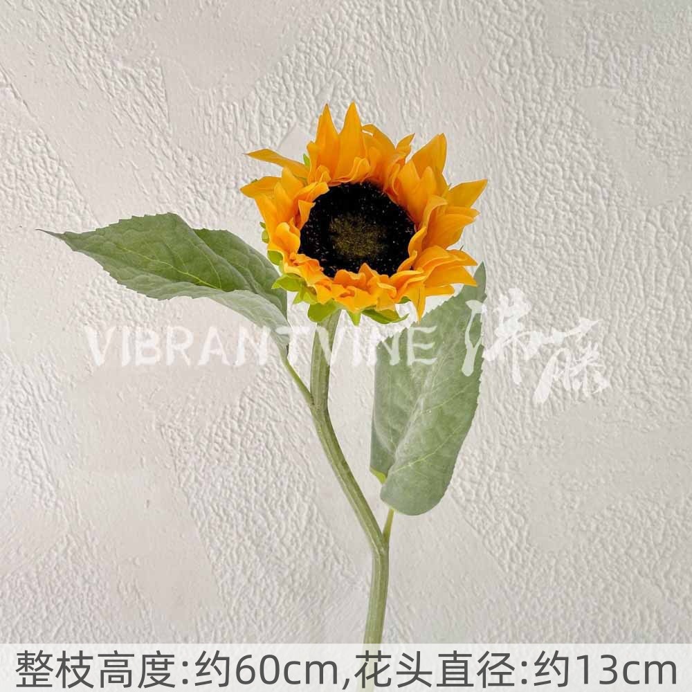 Yellow touch sunflower