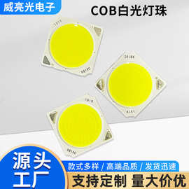 COB白光灯珠/1919暖白光/1919白光/全色温定制路灯led灯高亮度