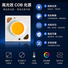cob��Դ1304/1507/020/2520/2530���ʸ���ָCOB�������ɫled��