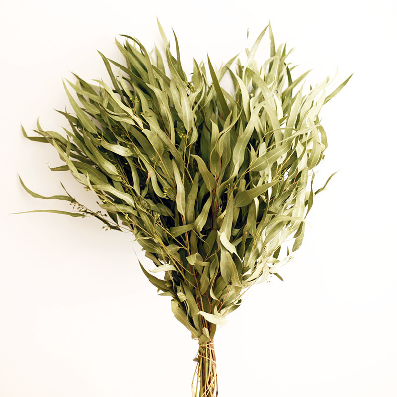 Flor seca Flor eterna Gypsophila Bola de oro No me olvides Flor seca Rosa hoja de eucalipto Pine Fruit Lover Grass al por mayor