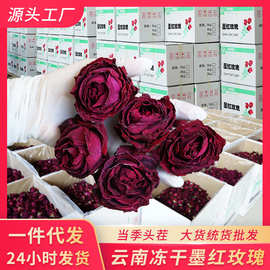 云南精选整朵头期低温冻干墨红玫瑰花茶散货统货大货批发500g一手