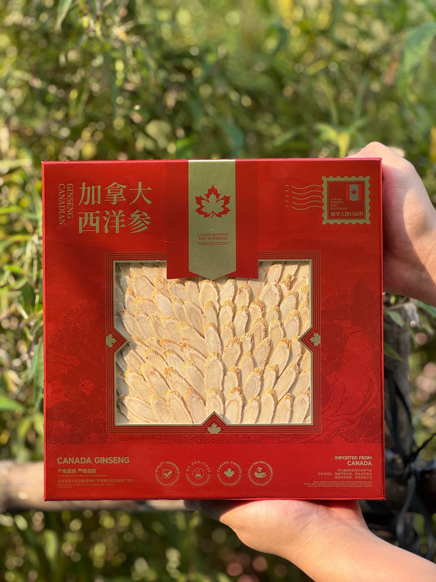 Canadian American Ginseng Slices Gift Box Large Slices 100g Dried Herbal Root for Soup and Tea overview