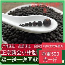 野生正宗新会小柑胎特级柑小青桔干青柑胎仔陈皮果小青柑皮枳实