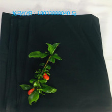�ڴ��� TC80/20 45*45 110*76 150cm ��Ư��ɫ�F؛�ڴ���