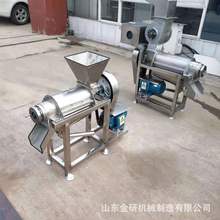 菠萝生姜大蒜榨汁机  大型不锈钢榨汁机  苹果梨橙子压榨机