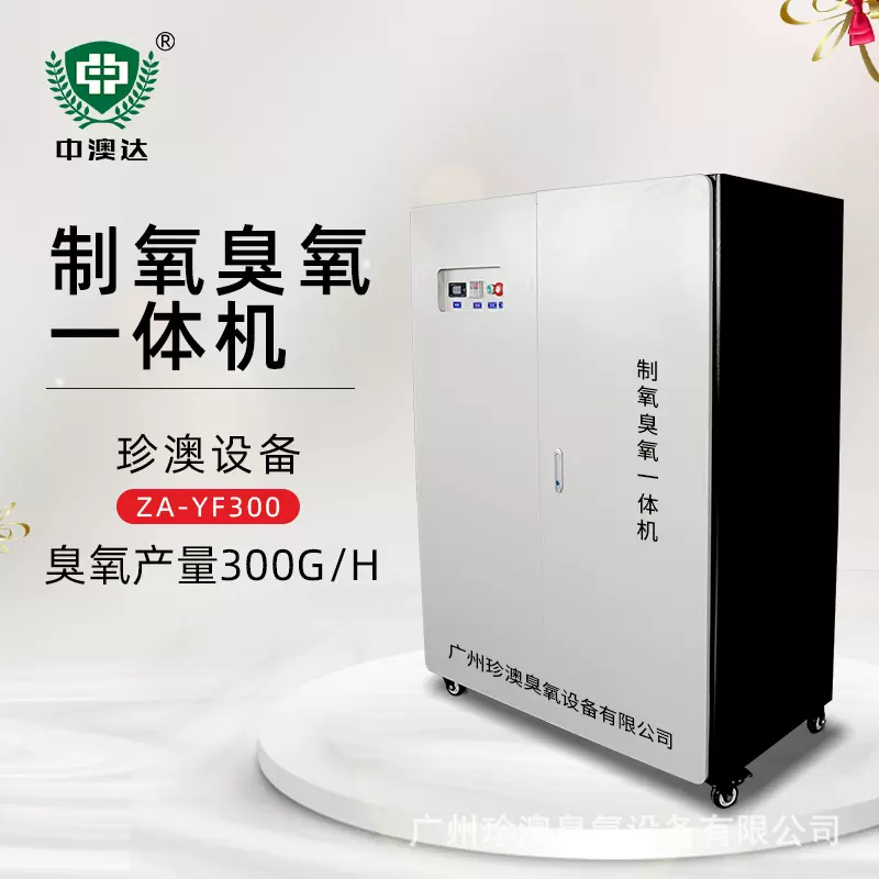 300g氧气源臭氧发生器水处理臭氧消毒机水产养殖泳池脱色杀菌厂家