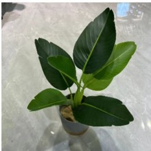 7^Ž~Ʒ|ָз~ֲ@쾰Gֲ҃