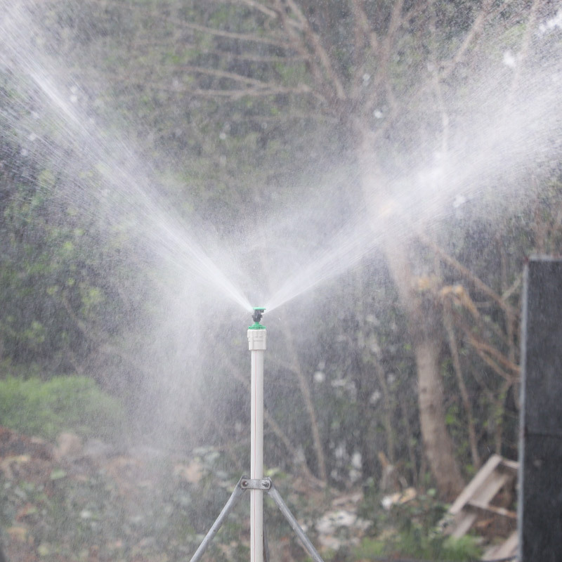 Precio unitario de McGonagall sin impuestos