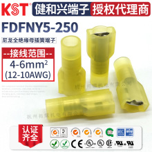 KST�����dFDFNY5-250����ȫ�^���Ӿ����� 6.3���UL RoHS CSA�J�C