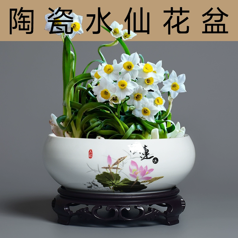 Керамический нарцисс цветочный горшок без отверстий для гидропонной культуры