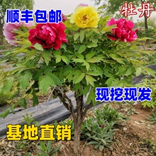 ��Ʒ���U����ʝ����ڴ��ذ�ֱ�U�䘶���������ͺ����l