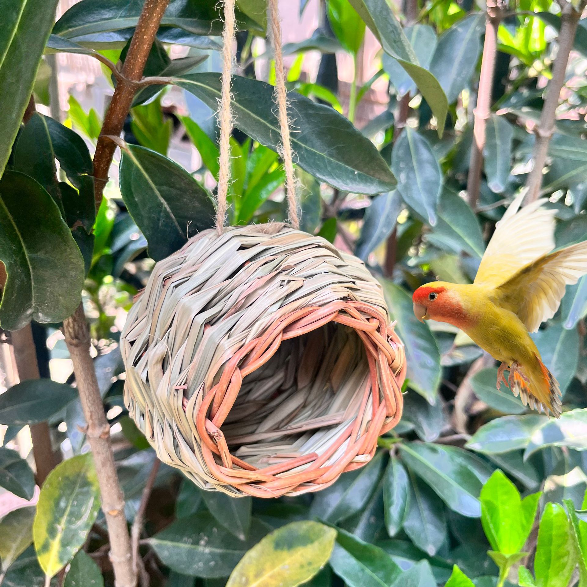 Nido de pájaro de paja esférica de estilo explosivo transfronterizo, nido de pájaro tejido a mano, decoración floral de jardín, nido de pájaro paisajismo, se puede colgar
