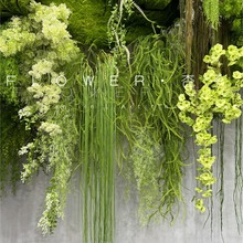 2025�¿��nʽ�Gֲɭϵ��Y���������˜I���R��һ���ĉ��GE18