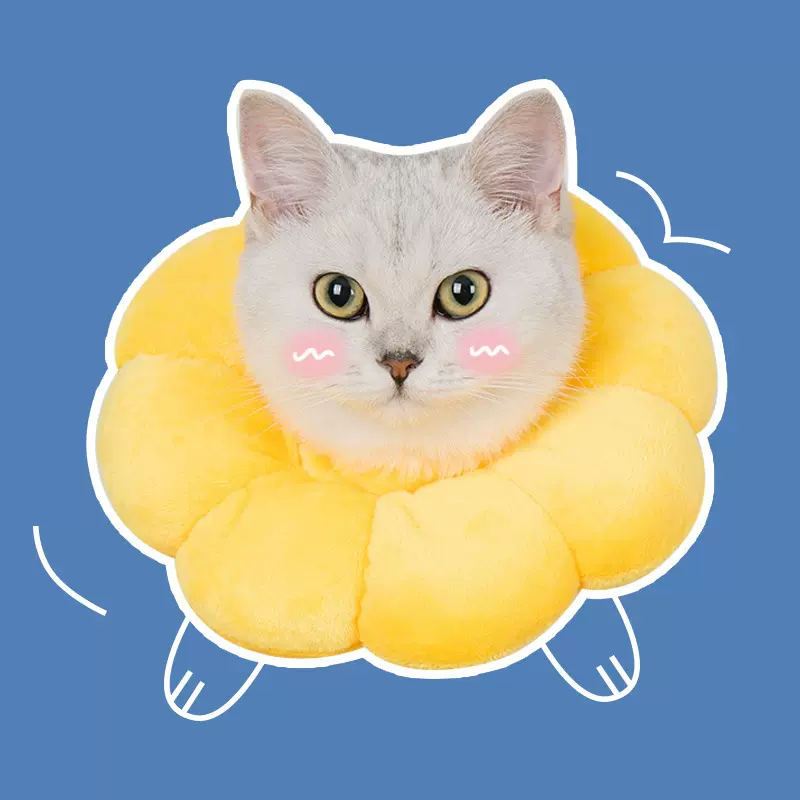 彩虹色太阳花伊丽莎白圈猫咪项圈狗狗脖圈绝育耻辱圈防舔防抓头套