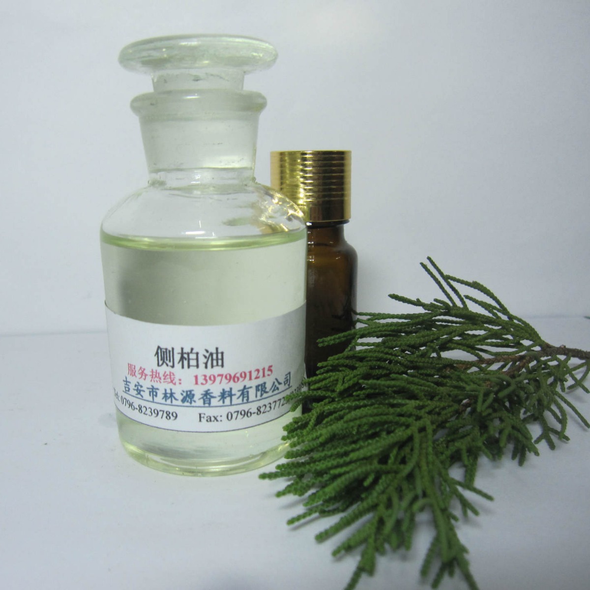 ��Ҷ�� �����ɰ�����Ҷ��  ������� ��ӭ����