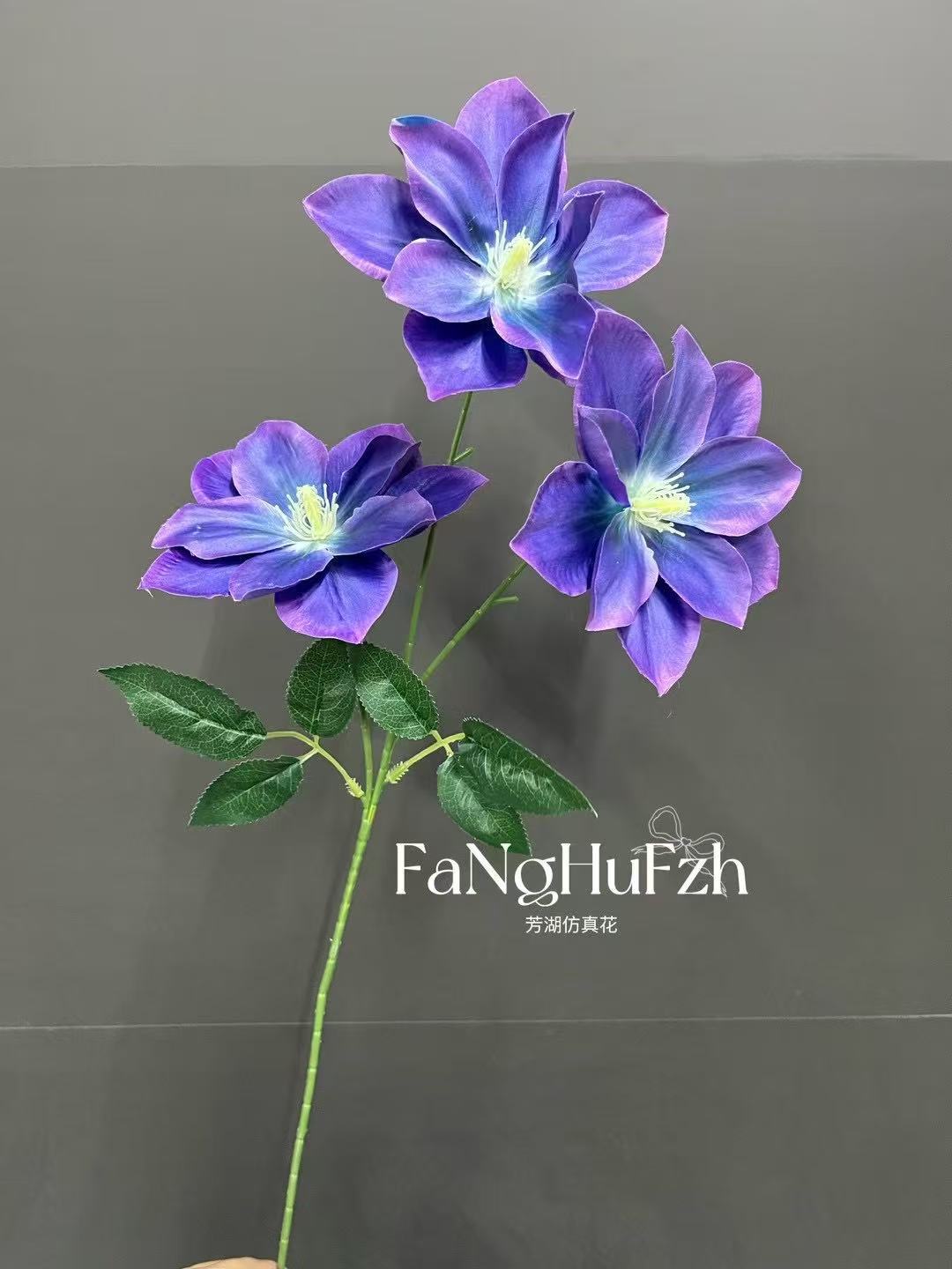 微信图片_20250218094054