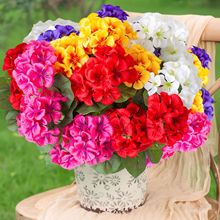 跨境爆款天竺葵花苗洋绣球草盆栽庭院海棠花花卉绿植重瓣大花仿真