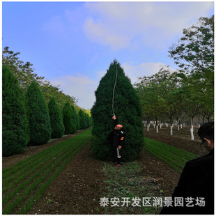 ����1.5����~����r�� 1.8����u�������l 2����������� �u��