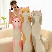 �����L�l؈�����ɐ�؈��ë�q���ſ؈���д�����˯��ż��Ů���Y��