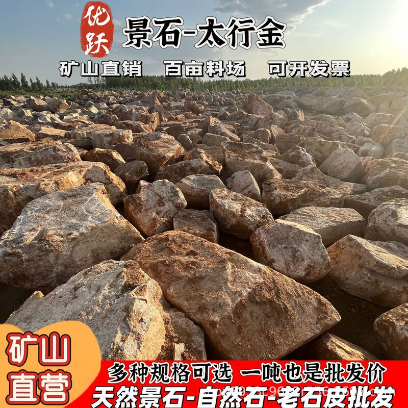 Natural Raw Stone Pieces from Taihang Jinbaipo Huangjingstone Are Used to Create Landscape Features in Gardens and Are Used as Ornamental Stones