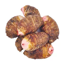 其他水果;块茎类;苹果