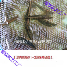 �^�p�r���l�ښ��r�׳����r��ˮ���坍1�rˮ�����쾰�~�׹����r