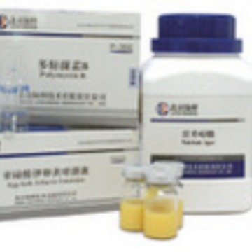 CM206-01 SS琼脂培养基 1000g 北京陆桥