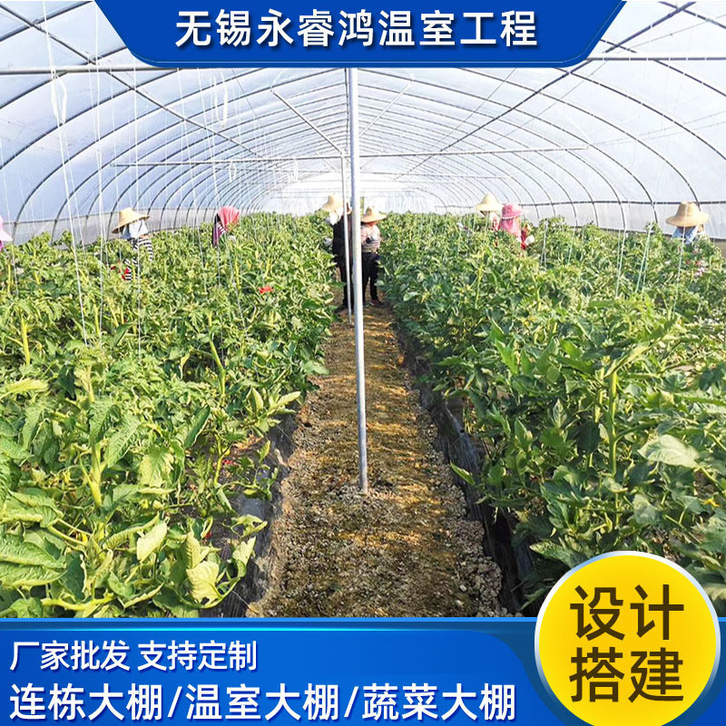 [Greenhouse] Vegetable Greenhouse Skeleton Multi-Span Greenhouse Vegetable Custom Hot-Dip Galvanized Greenhouse