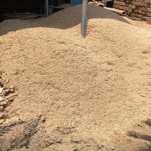 *ľм���l�ĩ���b�ĩ������ͳ���|�Ͻ�ϴ�����ɳ���l�ʹ�ֱ