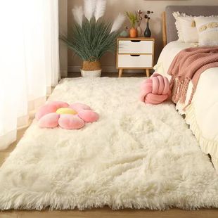 Thick Long-Haired Floor Mats for Bedrooms, Bay Windows, Girls' Bedside Rooms, Full Carpets, Floor Mats, See Details, Mainland China