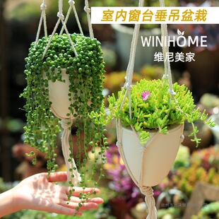 �҃��̨���������ֲ�������m�����՚�ˮ���B�ٱ��Gֲ���Ի���