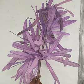 云南厂家直销花束居家装饰婚庆婚礼造型永生花大堂花艺扁豆